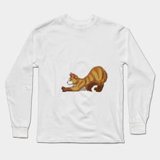 Tabby Somali Cat Stretching Yoga White Long Sleeve T-Shirt